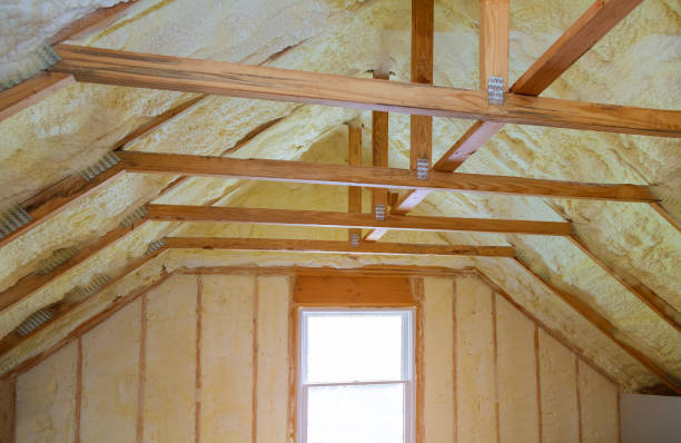 Best Types of Insulation in Valley Springs, CA