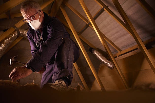 Best Insulation Maintenance and Repair in Valley Springs, CA