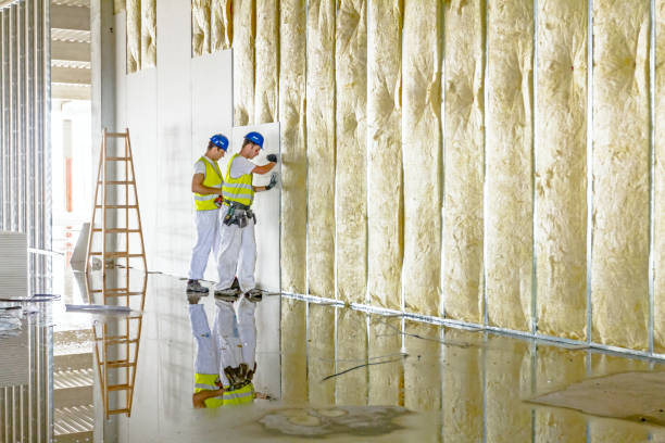 Best Commercial Insulation in Valley Springs, CA